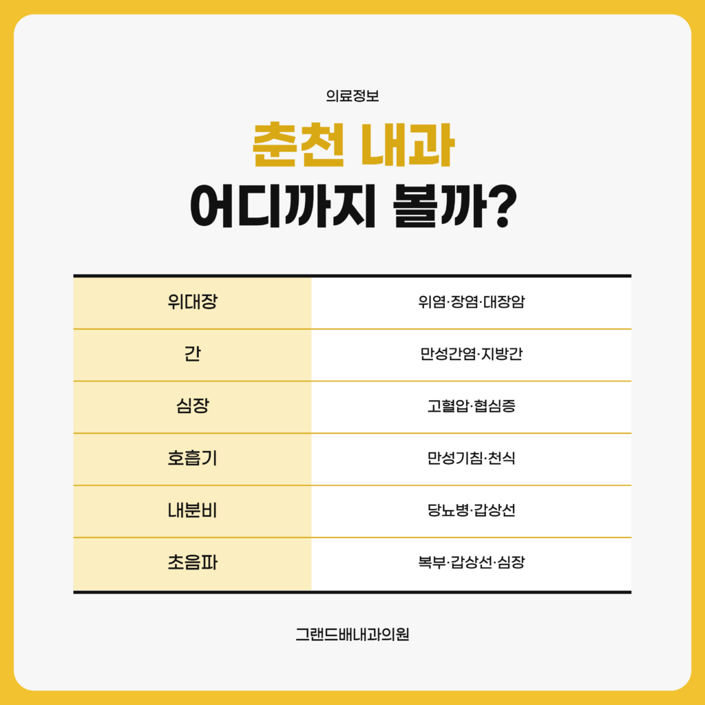 소화기 위대장, 간, 심장, 호흡기, 내분비, 초음파 클리닉마다 진료하는 질환을 한 줄씩 적은 자료 도표